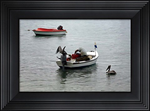 Framed Bonaire 2 Print