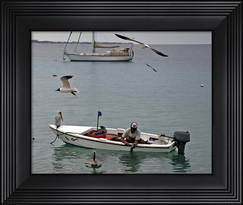 Framed Bonaire 3 Print