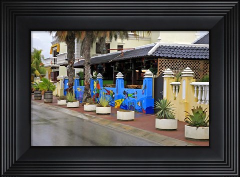 Framed Bonaire 5 Print