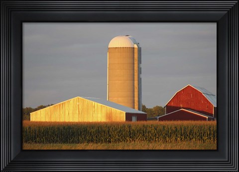 Framed Barn &amp; Silo Print