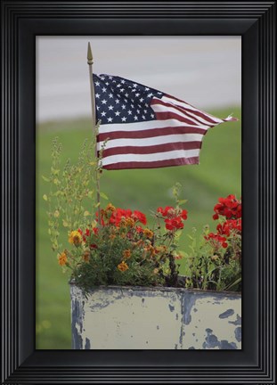 Framed Flag Print