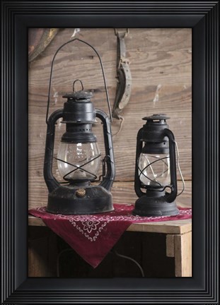 Framed Vintage Lamps Print
