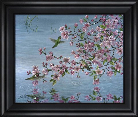 Framed Broad Tailed Hummer Print