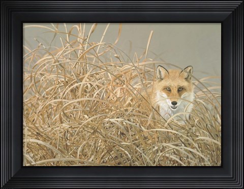 Framed Silent Gaze Print