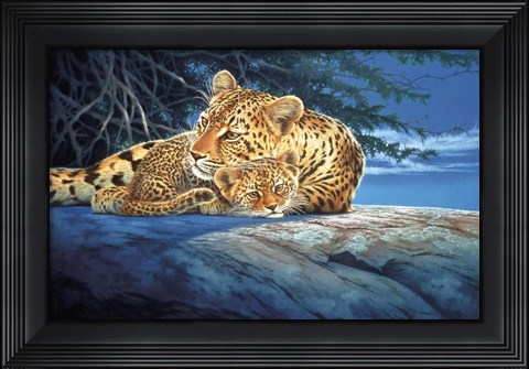 Framed Sunlight Filtering Print