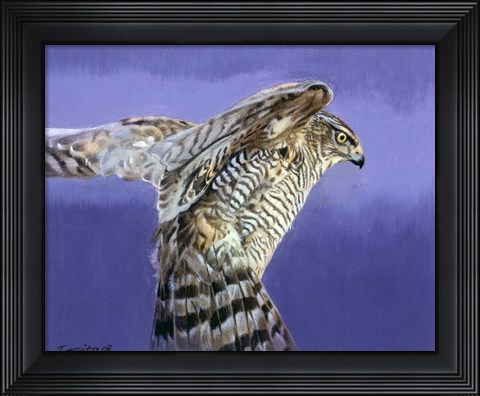 Framed Landing Print