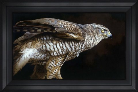 Framed Watchful Print