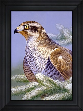Framed Basking Print