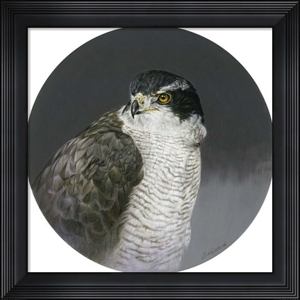 Framed Poised Print