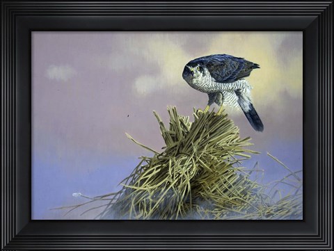 Framed On Guard Print