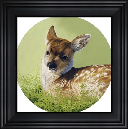 Framed Soft Light Print