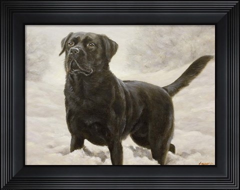 Framed Splashing Print