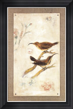 Framed Long-Billed Sunbird Print