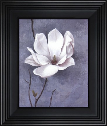 Framed Delicate Beauty I Print