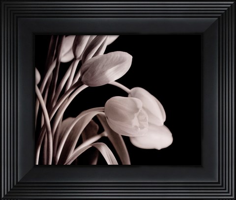 Framed Tulips On Black Print