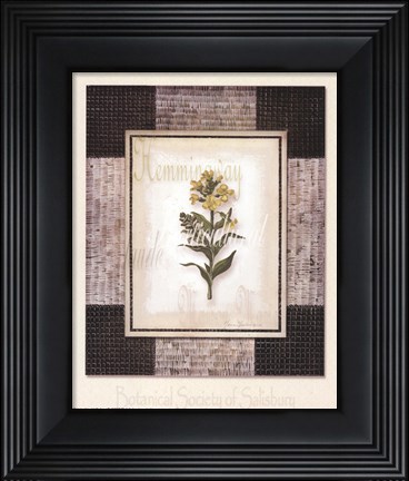 Framed Woven Garden II Print