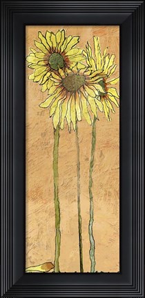 Framed Daisy's Print