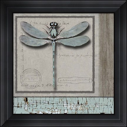 Framed Dragonfly Blue Print