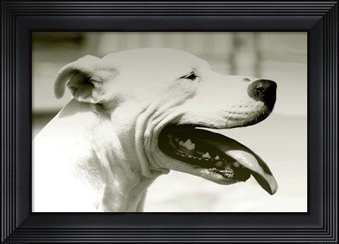 Framed Pretty Boy Print