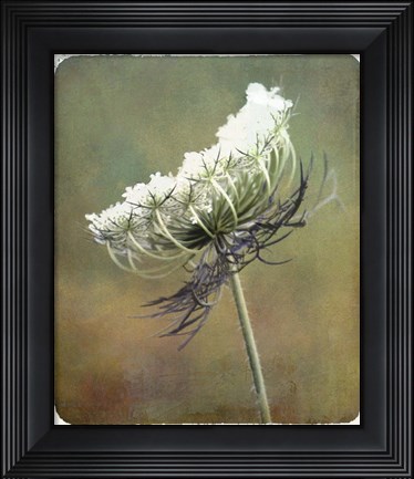 Framed Wild Bloom Print
