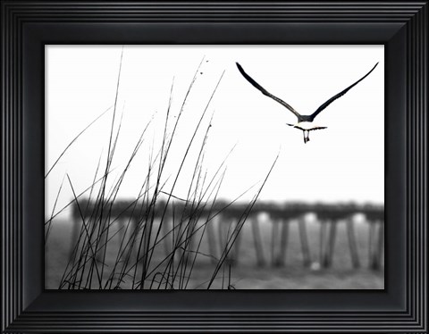 Framed Soaring Print