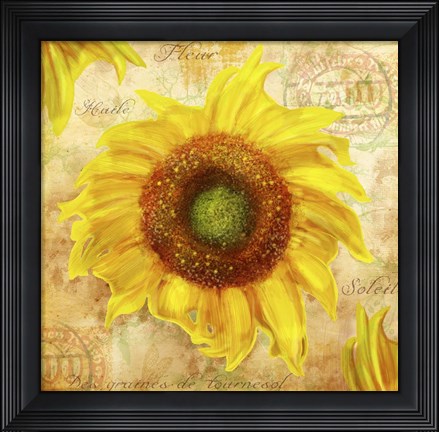 Framed Tuscan Flower 7 Print