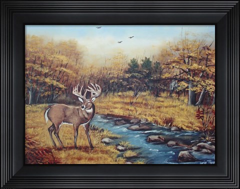 Framed Monarch Print