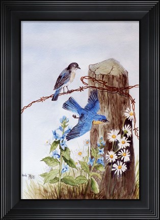 Framed Bluebirds with Daisies Print