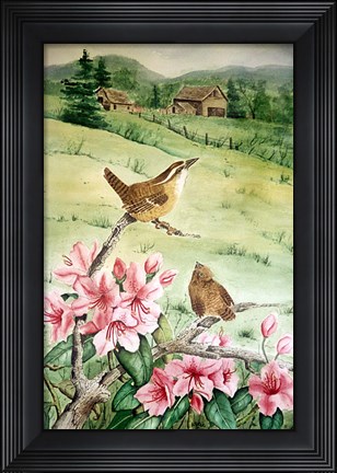 Framed Carolina Wren Print
