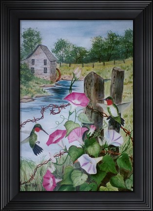 Framed Hummingbirds Print