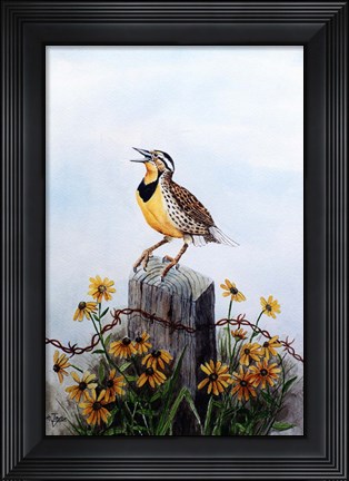 Framed Meadowlark 3 Print