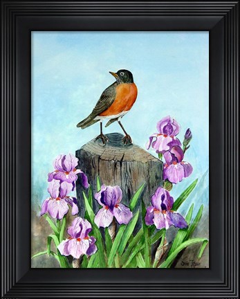 Framed Robin Print