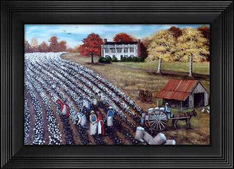 Framed Lincoln Cotton Field Print
