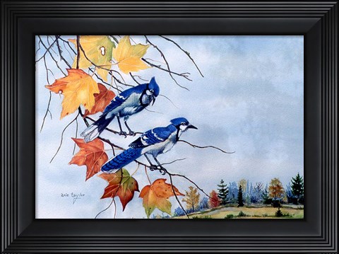 Framed Blue Jays Print
