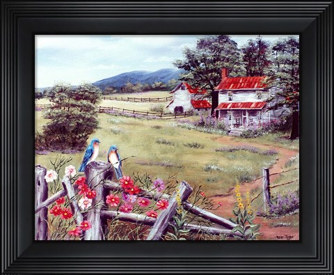 Framed Bluebirds And Baker&#39;s Mtn Print
