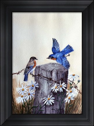 Framed Bluebirds With Daisies 3 Print