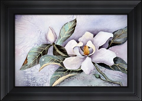 Framed Magnolia Blossom Print