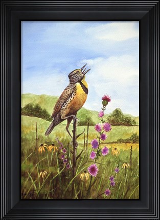 Framed Meadowlark 4 Print