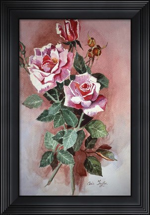 Framed Pink Roses Print
