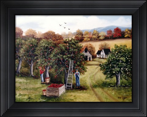 Framed Apple Orchard Print