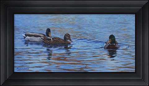 Framed Autumn Outing Mallards Print