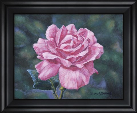 Framed Solitary Rose Print