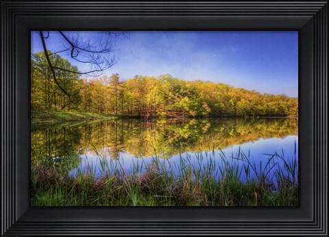 Framed In The Looking Glass Print