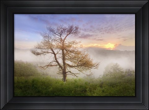 Framed Misty Mountain Tree Print