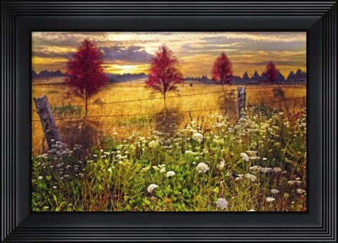 Framed Sunset Shadows Print