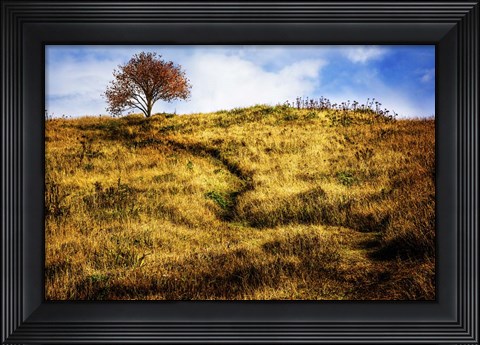 Framed Challenge Print