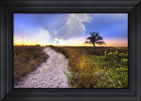 Framed Wildflowers On The Dunes Print
