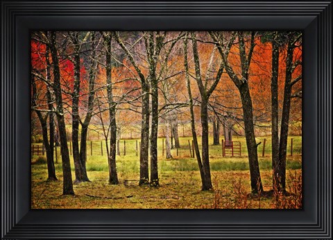 Framed Autumn Grove Print