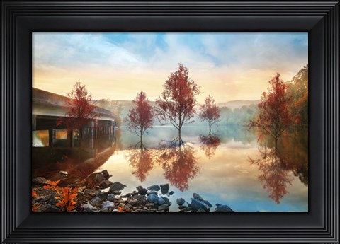 Framed Cypress Autumn Print