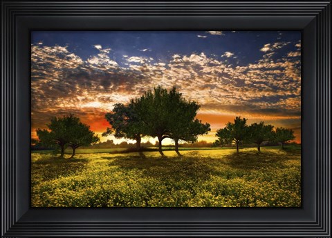 Framed Shadows in the Meadow Print